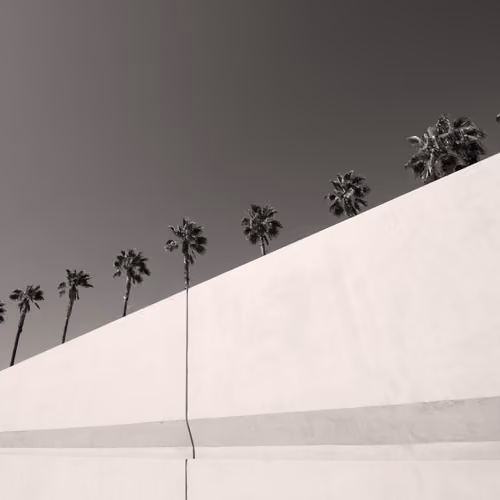 Lineup