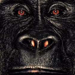 109162157552346088047496633038404394118504199992061596446112929751365222137857