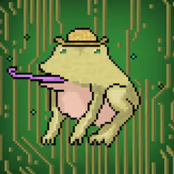 Crypto frog 28