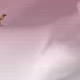 20875163875565964776999354394589775308888873962649032859817128774501180375041