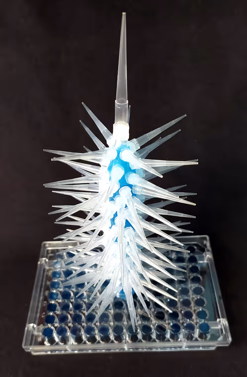 Item #108955583872739655741702358868652756405273862791069305959596897631338135289857 Media