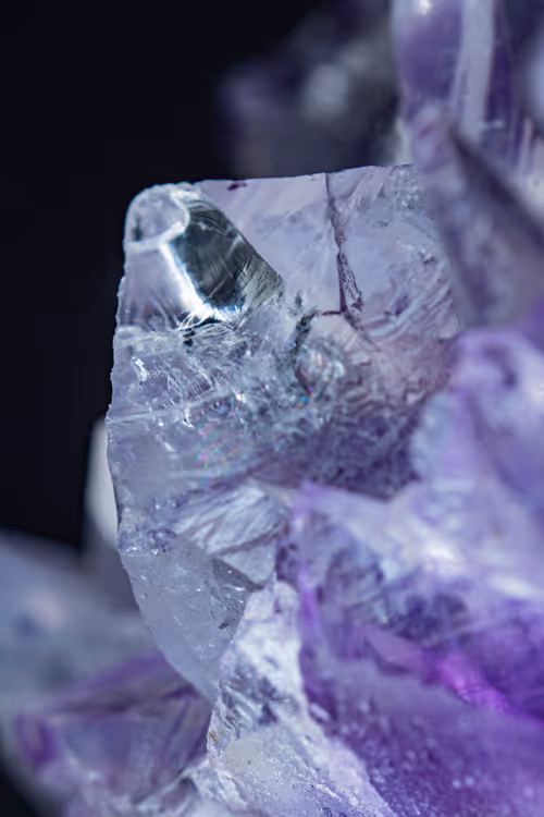 Item #66707676080978551838263520702754250537377931787813102231396956416655509946369 Media