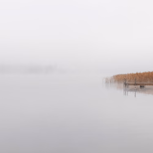 Reed #1