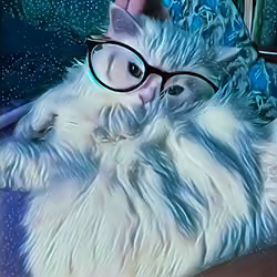 Lily #1