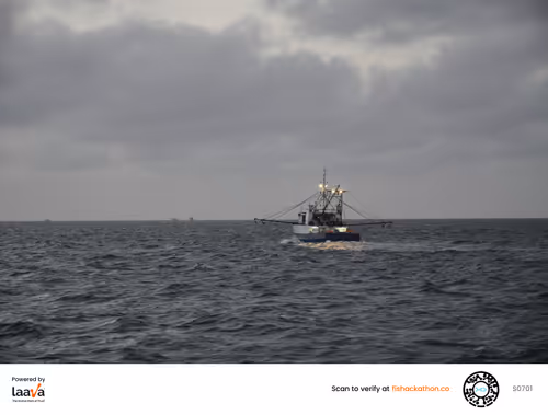 Item #75409383365909662742797353960547032942445262958910293626622653906517883879425 Media