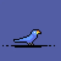 bird