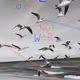 44577929043643386476887136140006093747647576454284667934127132431109092016129