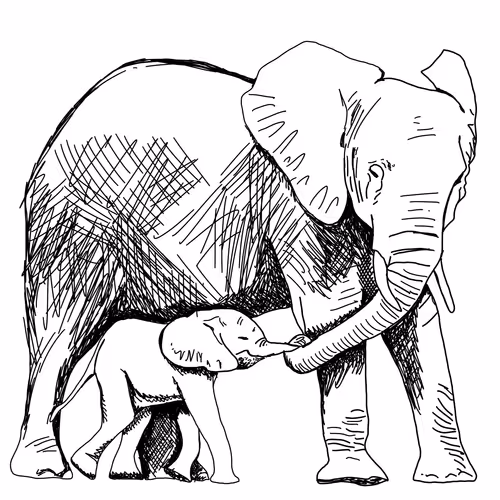 Item #2193413964396688017519545014039079487977398058992088711471590560927546605569 Media