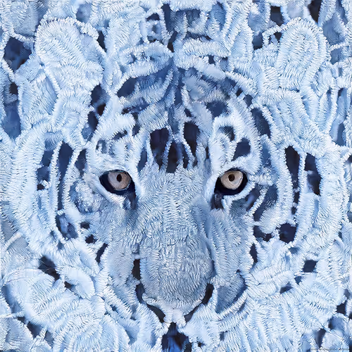 Item #13655688939135100874137865822286963285848178287002064785741775635398233423873 Media