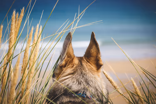 Item #18073640285496453715959777028065876862054527336647985940248650844636232810497 Media