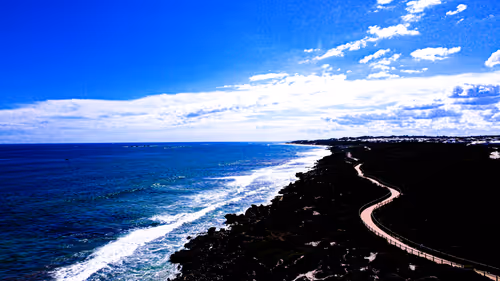 Item #19706736647229879656822454132754720829342414100240411727761358970618699055105 Media