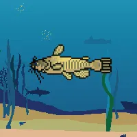 78964944229926021655968168462037545876501657311134209832205589012363855527937