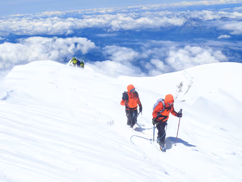 Item #35643411098576877305057509121838093014142283430323492401104929207320997527562 Media