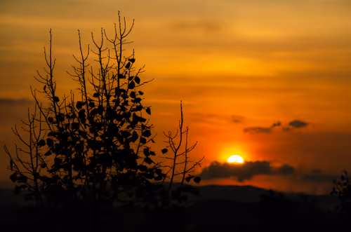 Item #34223466419307395919309425115032312410685197055707883588624350254857224978433 Media