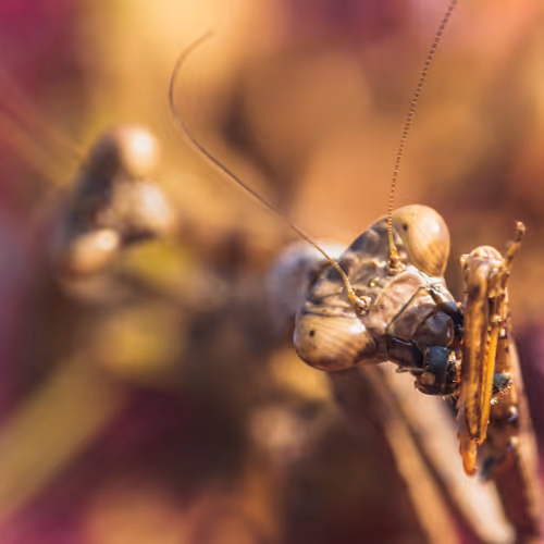 105090597216655980557633683149084672751347825439893935605656298056204236619777