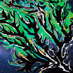Bonsai Starfield