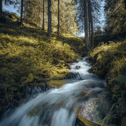 57838873307730799033635906984496396884478891164141472861664138678225290133554