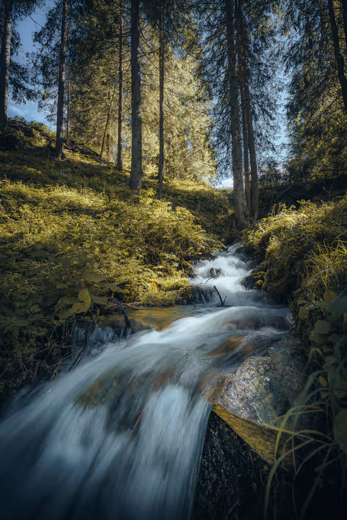 Item #57838873307730799033635906984496396884478891164141472861664138678225290133554 Media