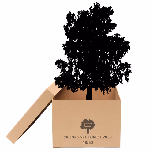 Item #63532776318757439562276927313719991273687356279339277108967620947536559210497 Media