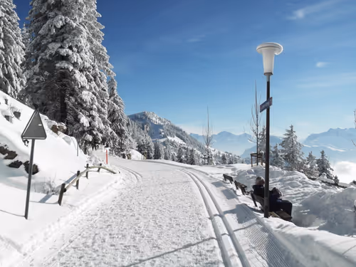 Item #57616968774937305667495645743759075996351860147408322149889343973365664186369 Media