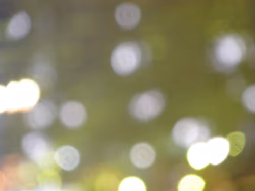 Item #90989002574259779699628544146033924085184730772838588916455612618839326457857 Media