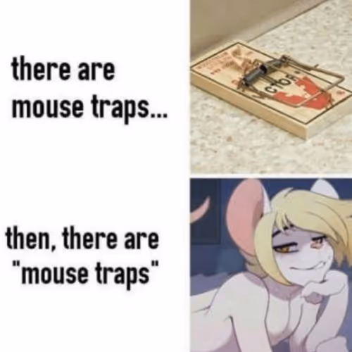 100877380078657672831141937300682673949994067612090361731607526934637466091521