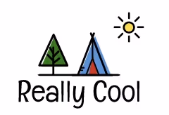 Untitled Collection #193706116