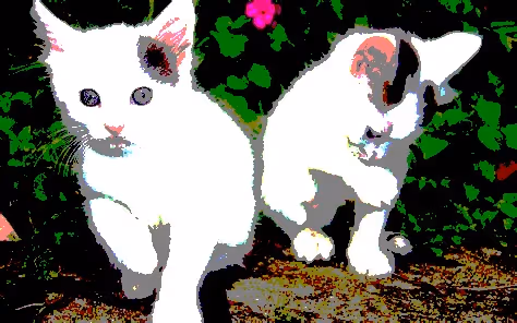 Item #23538819986925566434507765811444276093104658907602947149672917223960672731137 Media