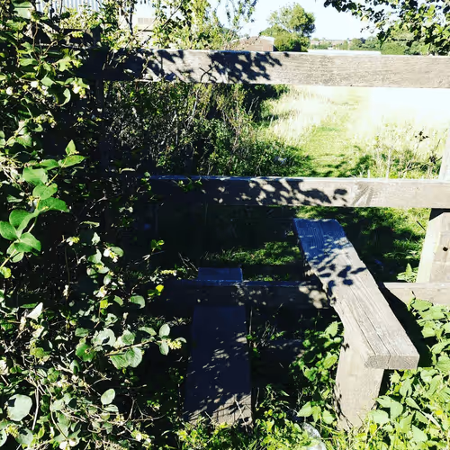 Item #105237010342582609876748436582366170093723610565651913513256945301776542728193 Media