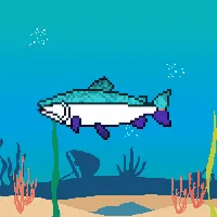 Item #78964944229926021655968168462037545876501657311134209832205588414229530017793 Media