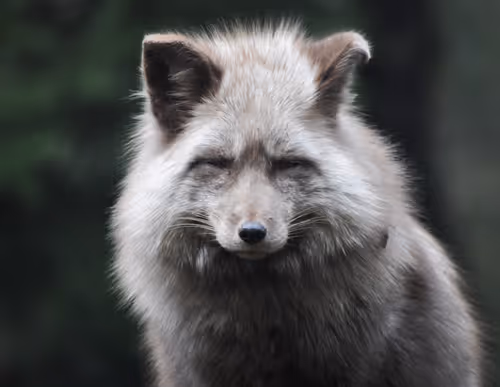 Item #106870078454534698311606461225664382982354268042883800261475775702406524829697 Media