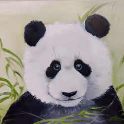  Panda