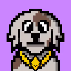 crypto puppy