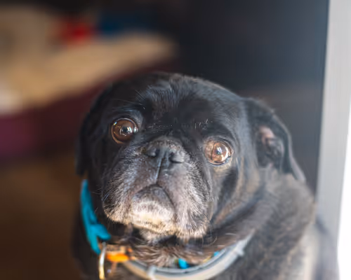 Item #76728187130834066422124200903786064407558599235583028527391947697407337168897 Media