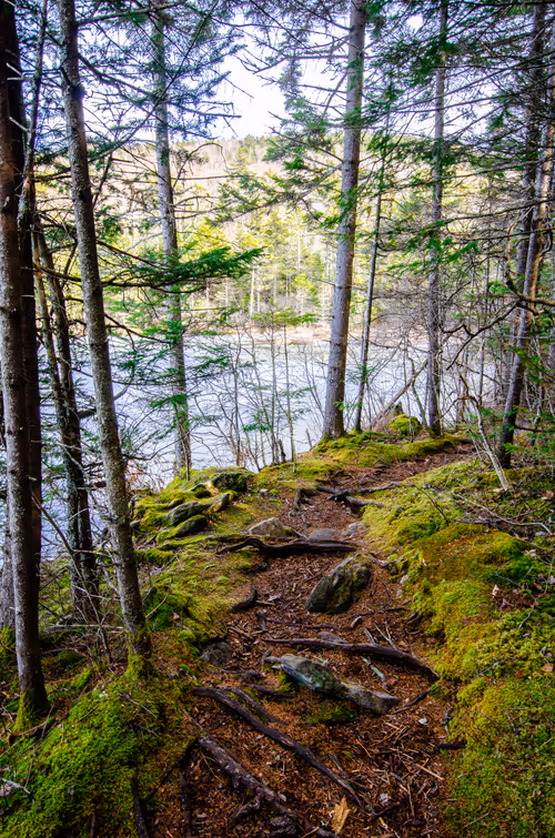 Item #2560167528831681655449026720249695031072996054742885035460294111433051865089 Media