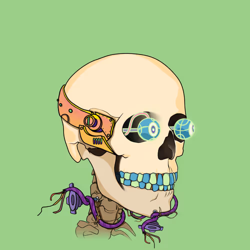 Flesh Annihilated Skeleton Soars#519