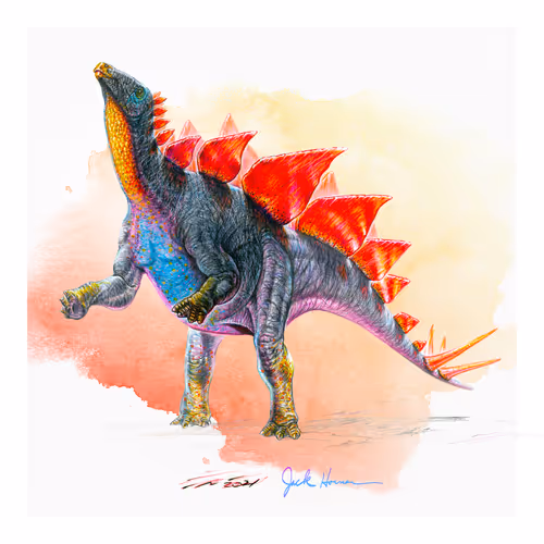 Item #22582927822880265950669941219355019494534003366966592492782895219281686953985 Media