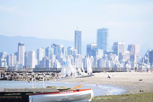 Item #41013704286635162959004487776095067176603519769359421915548602577862621396993 Media