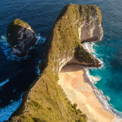 T-Rex Bay