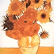 Warm sunflower