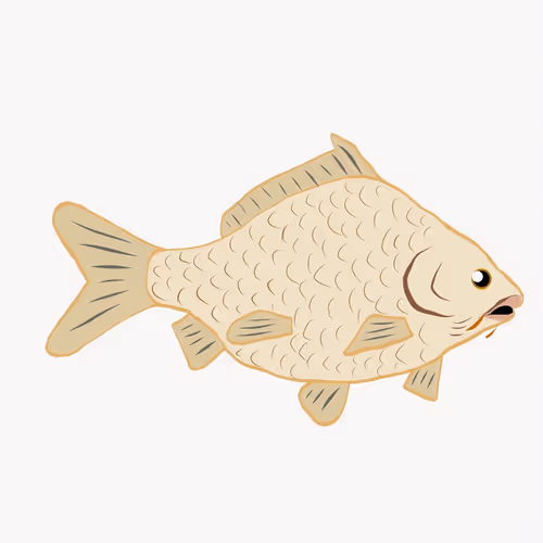 Item #1884391122872079971647335474852499061260200462893500442794211194490748665857 Media