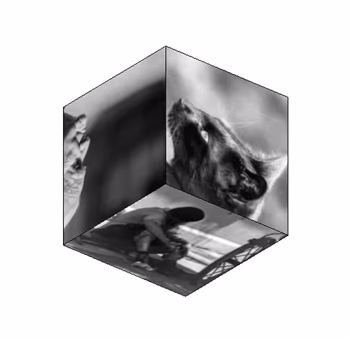 Sepulennto Collection