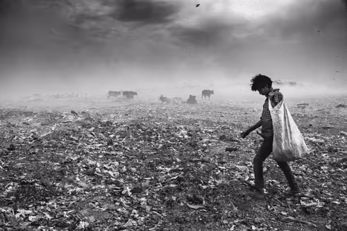 Item #14903448534982185836333129059607412223311433954982104222491105919112113553409 Media