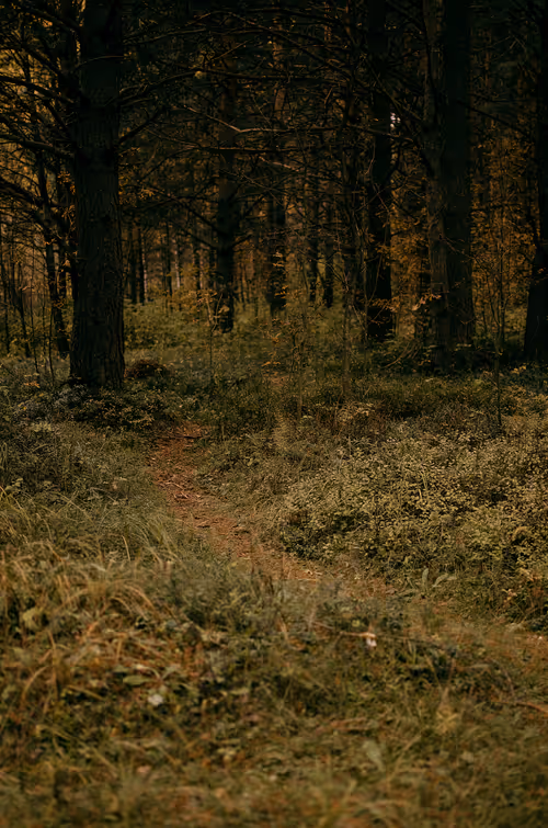 Item #89749655781633695214918973850275472722969414754438239918620403788633918668801 Media