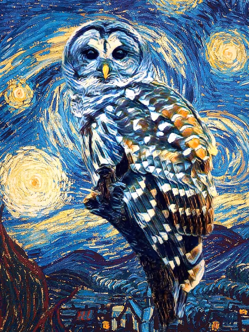 Item #37392771714080896368983378971328535306855470059313378604455525018692480925697 Media