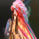 44607050995887656837899977204882705541129157075107243683373912961873365434369