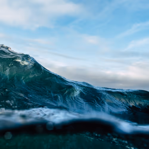 Liquidscapes