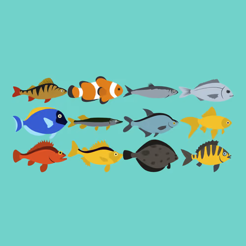 Bored Fish #1