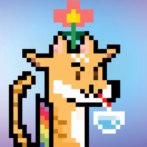 Crypto Giraffe Special Edition - Yolo Cat #01