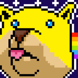 CryptoDoge 005